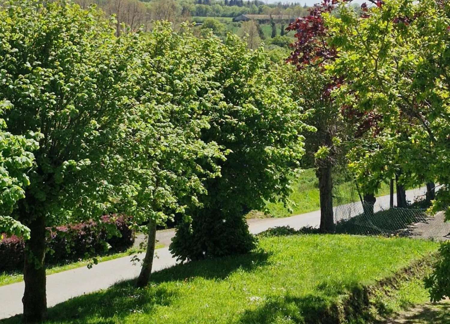 Bed and Breakfast Le Convivial à Lohuec France